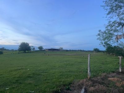 Cancha de pasto y zonas verde