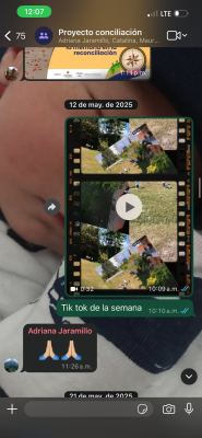 Uso de tecnología en los proyectos institucionales