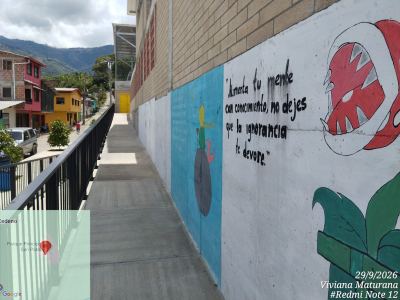 Entorno y territorio de la institución educativa