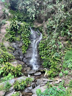 Nuestra cascada, fuente de vida