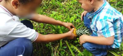 Cultivando el espacio Rural